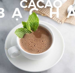 Ca Cao Sữa Bạc Hà